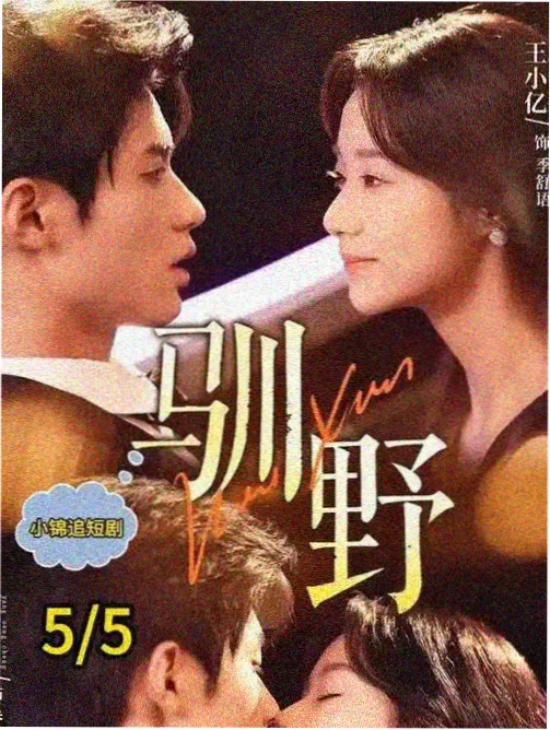 傻人影院图鉴，渡轮甲板上的旧船票